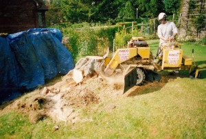 Alton Tree Care - Stump Grinding Liphook Fourmarks Alresford Basingstoke Bordon Farnham Four Marks Petersfield Ropley Selborne Whitehill Winchester